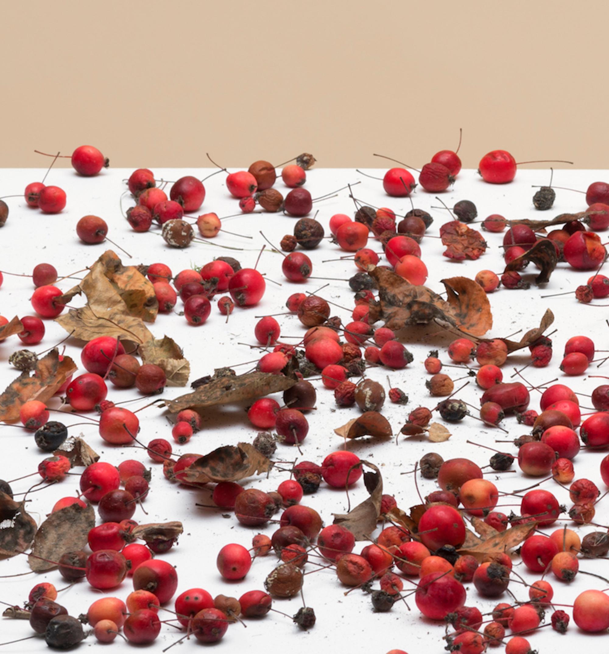 Ohne Titel (#16-21) von Pawel Żak - Zeitgenössische Studiofotografie, rote Früchte 2