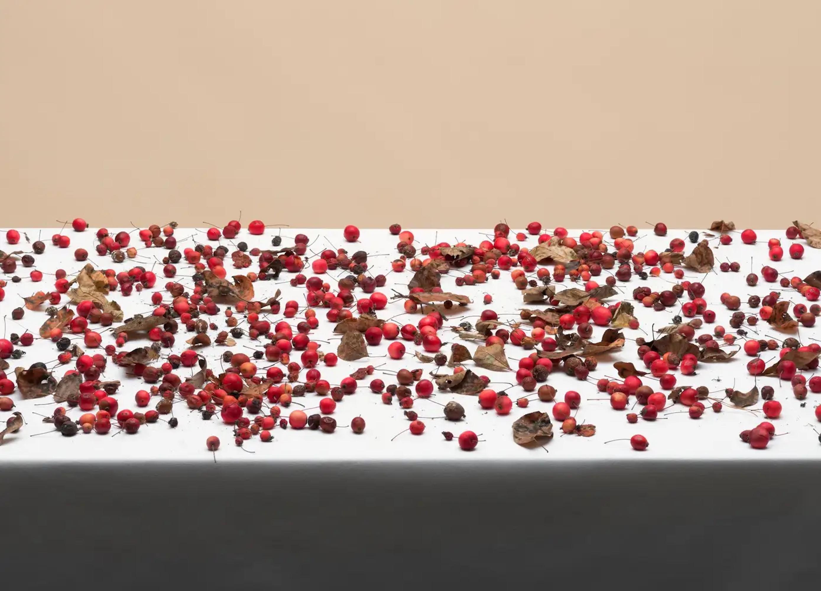 Untitled (#16-21) by Pawel Żak - Contemporary studio photography, red fruits