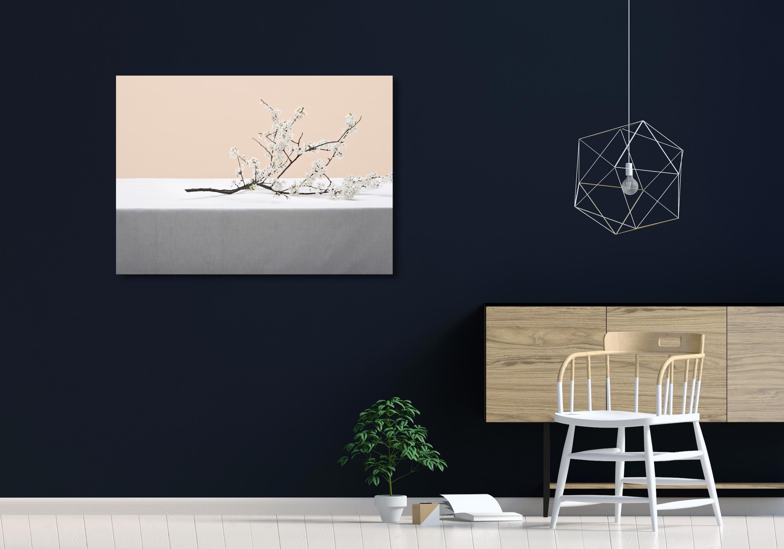 Sin título (#16-5) de Pawel Żak - fotografía de estudio, naturaleza muerta, flores blancas en venta 1