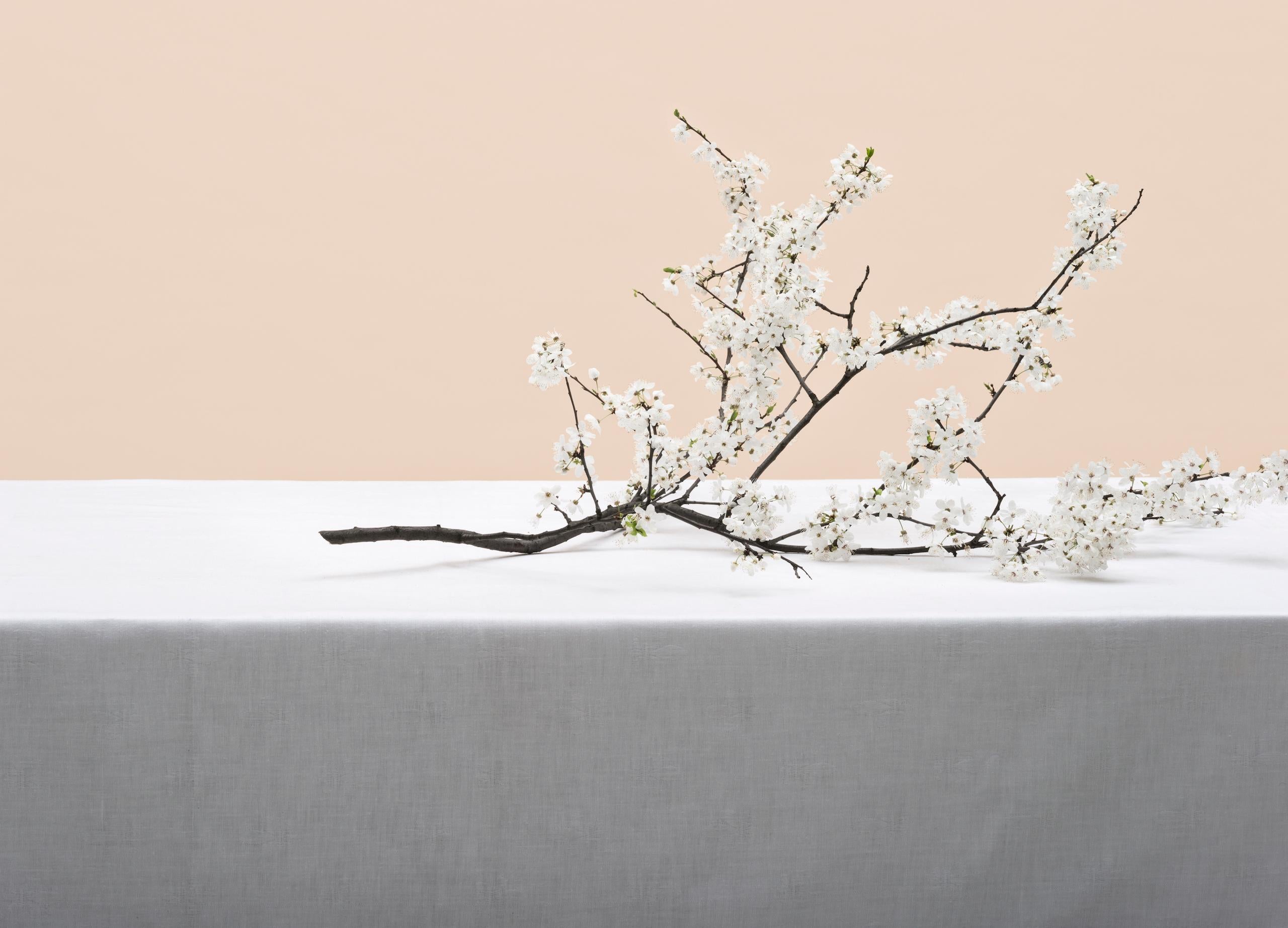 Sin título (nº 16-5) es una fotografía del artista contemporáneo polaco Pawel Żak. 
Esta fotografía se vende sin enmarcar como impresión únicamente. Sólo está disponible en una dimensión, edición de 7 ejemplares. Todas las impresiones están firmadas
