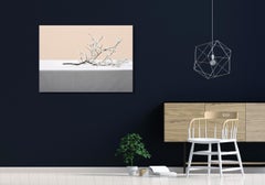 Ohne Titel (#16-5) von Pawel Żak - Studiofotografie, weiße Blumen, Natur