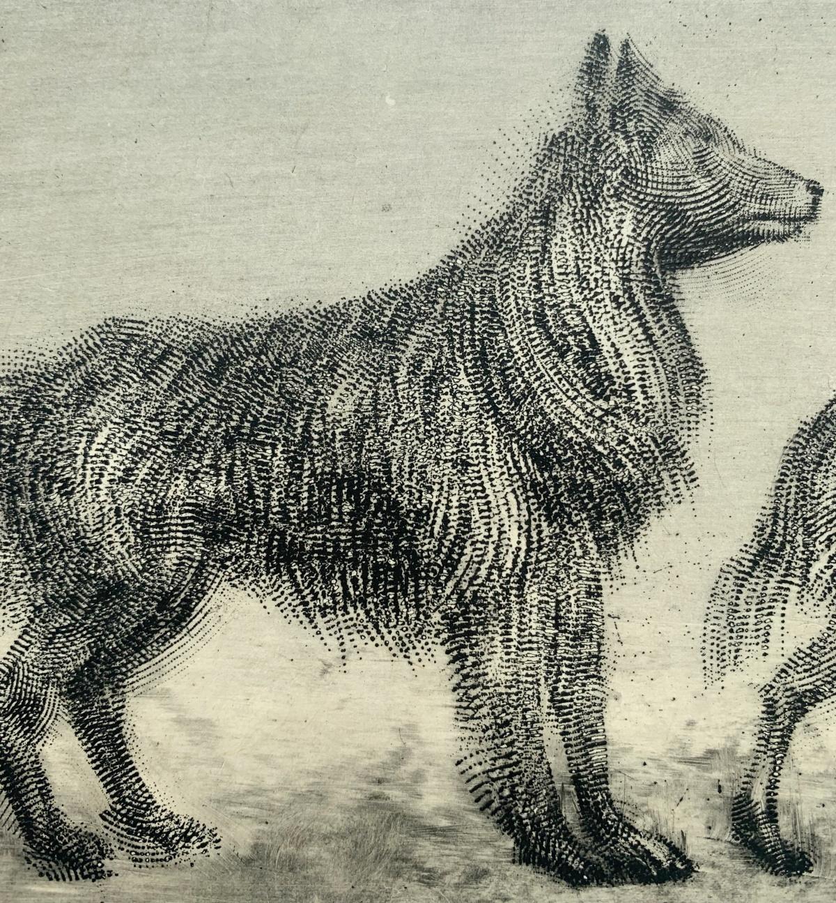 Contemporary figurative etching print by Polish arist living in Canada, Pawel Zablocki. Print depicts three dogs standing in line, each in different pose. Artist's unique technique of printmaking creates interesting effect of visual texture. 

PAWEL