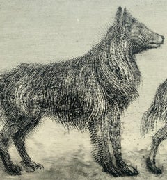 Cani da pastore belgi II e III. Stampa figurativa contemporanea all'acquaforte, Animali
