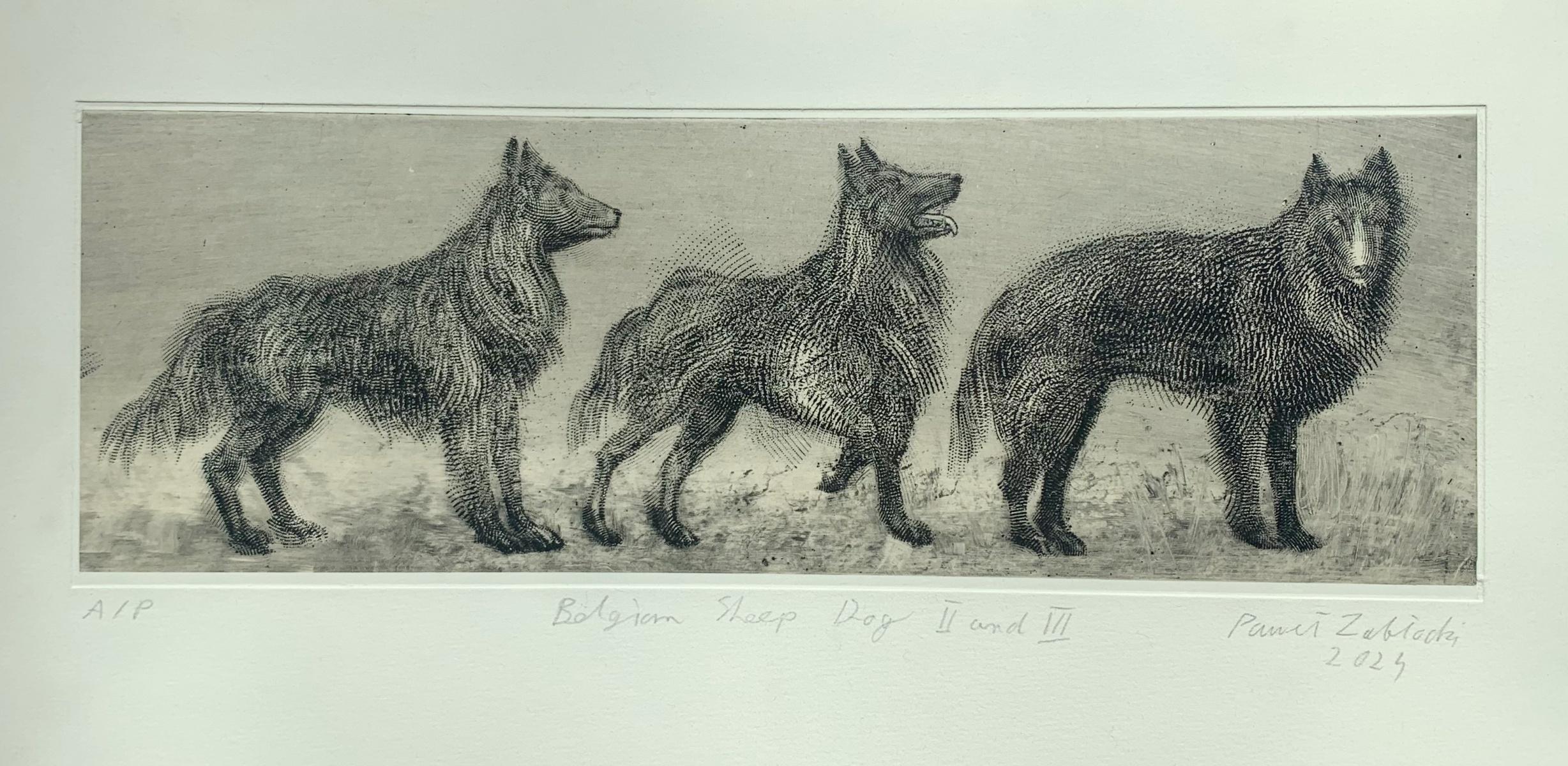Belgian sheep dogs II and III. Contemporary Figurative Etching Print, Animals For Sale 1