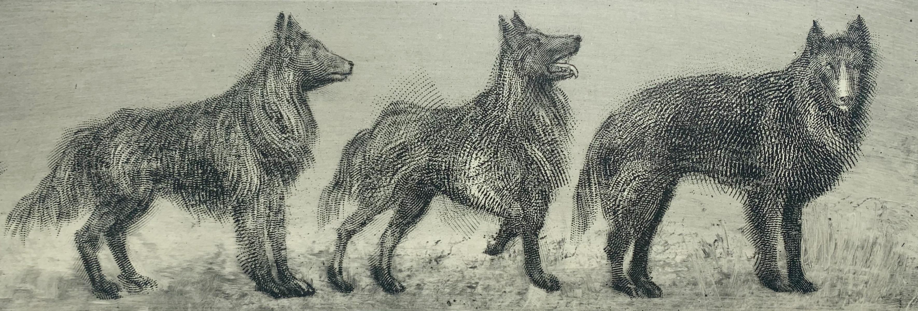 Pawel Zablocki Animal Print - Belgian sheep dogs II and III. Contemporary Figurative Etching Print, Animals