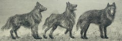 Perros pastor belgas II y III. Grabado al aguafuerte figurativo contemporáneo, Animales