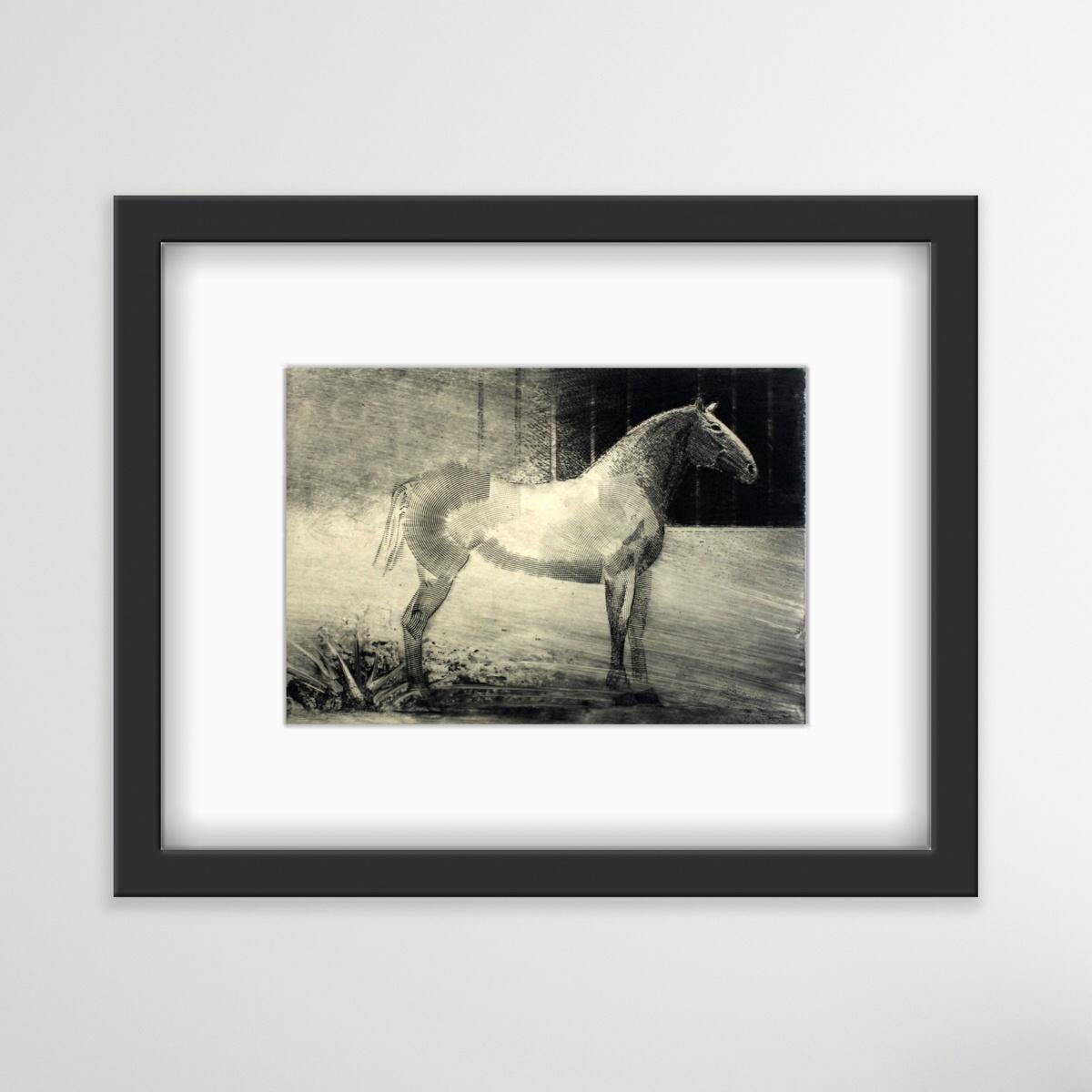 Lonely - XXI Century, Contemporary Figurative Etching Print, Animal, Horse For Sale 2