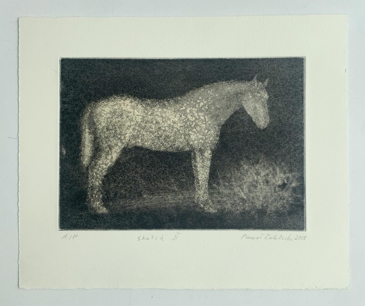 Schizzo II. Stampa contemporanea all'acquaforte figurativa, Animale, Cavallo, Artista polacco - Print Contemporaneo di Pawel Zablocki