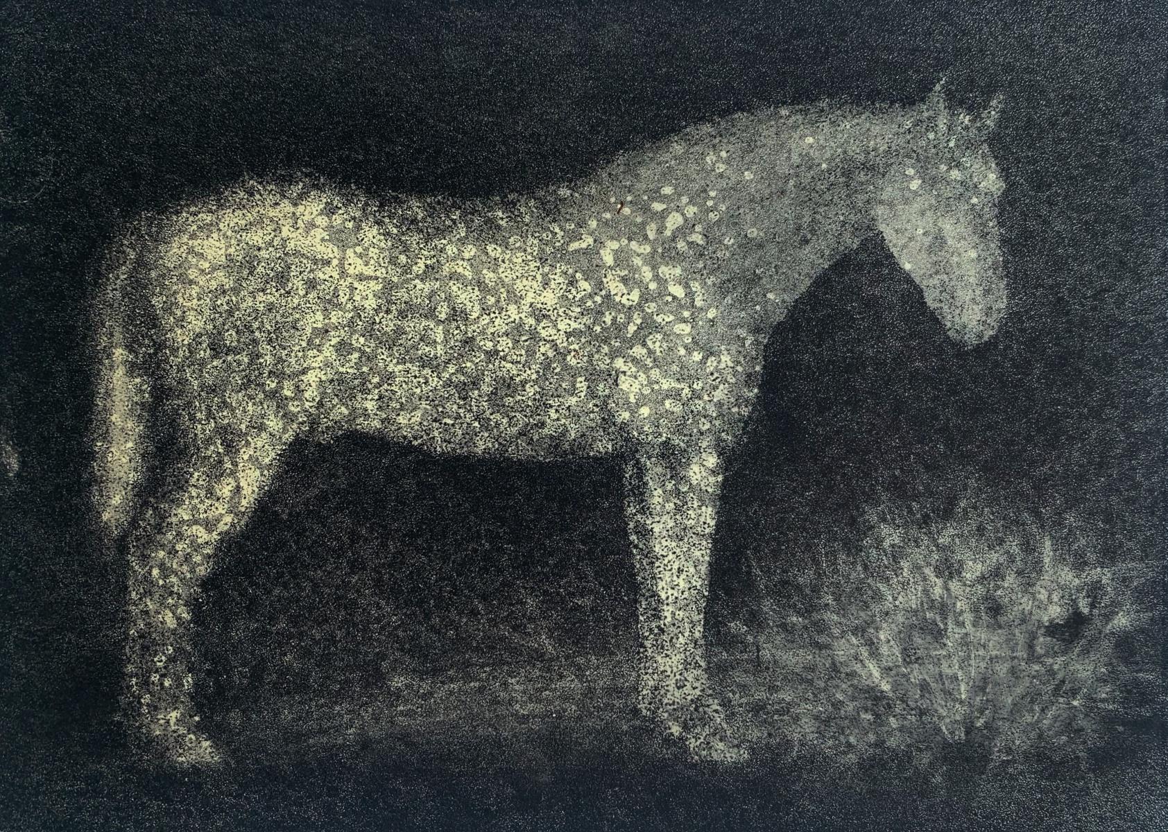Pawel Zablocki Figurative Print - Sketch II. Contemporary Figurative Etching Print, Animal, Horse, Polish artist