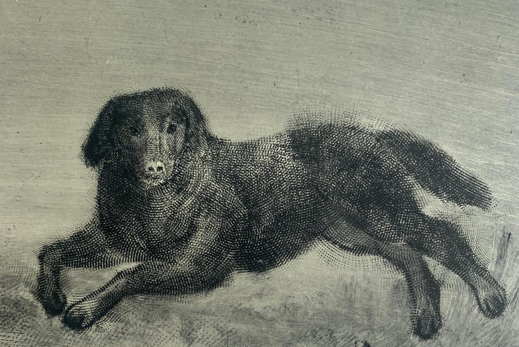 Contemporary figurative etching print by Polish arist living in Canada, Pawel Zablocki. Print depicts dogs Tofcia and Turbo, one is laying down and looking in viewer's direction while the other one is shown sideways. Artist's unique technique of