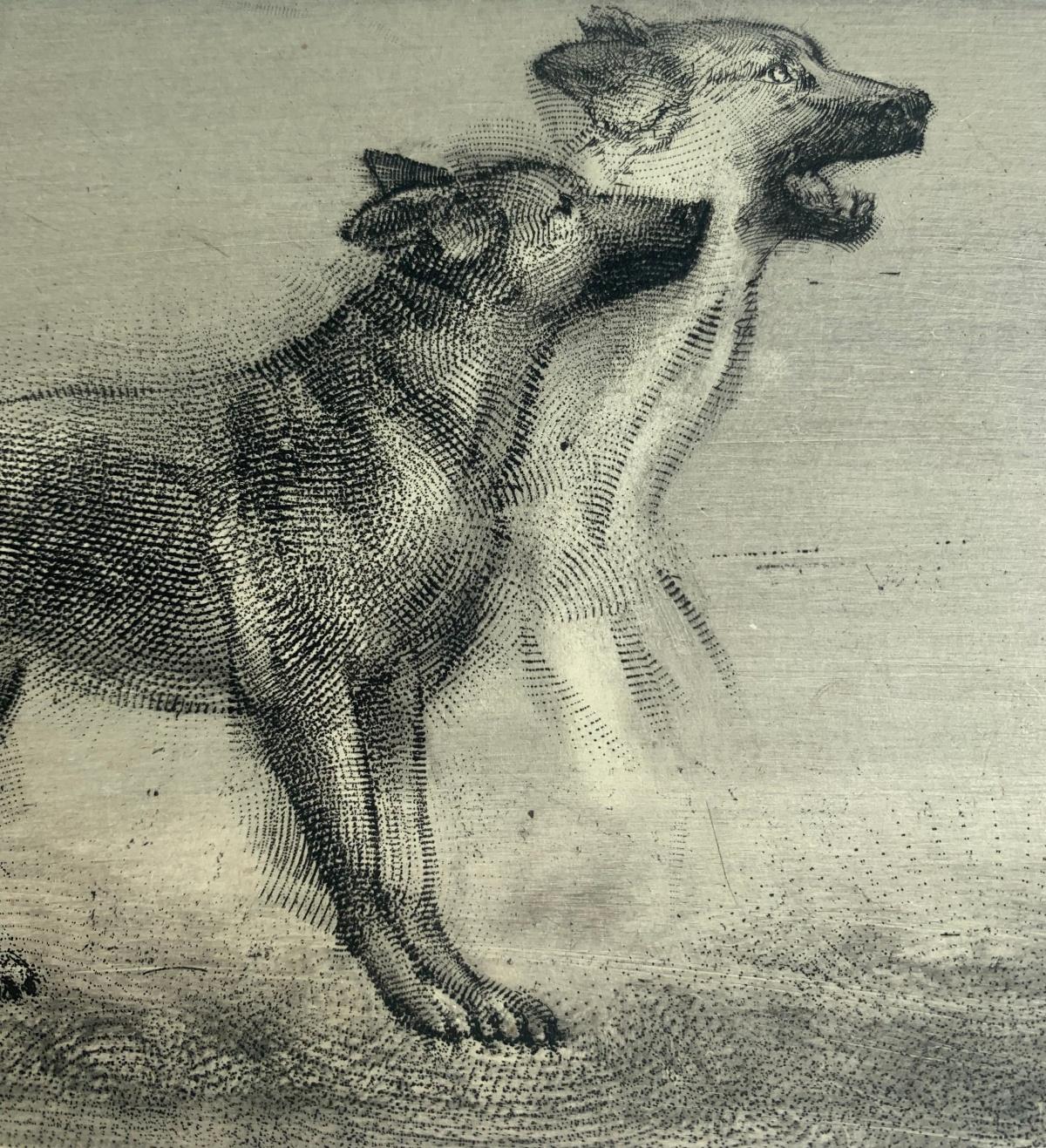 Contemporary figurative etching print by Polish arist living in Canada, Pawel Zablocki. Print depicts dogs Tofcia and Turbo, one is laying down and looking in viewer's direction while the other one is shown sideways. Artist's unique technique of