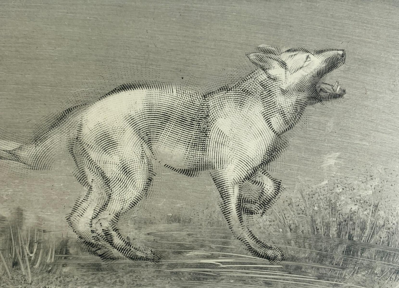 Contemporary figurative etching print by Polish arist living in Canada, Pawel Zablocki. Print depicts dog Tofcia in dynamic poses viewed from the side. Artist's unique technique of printmaking creates interesting effect of visual texture. 

PAWEL