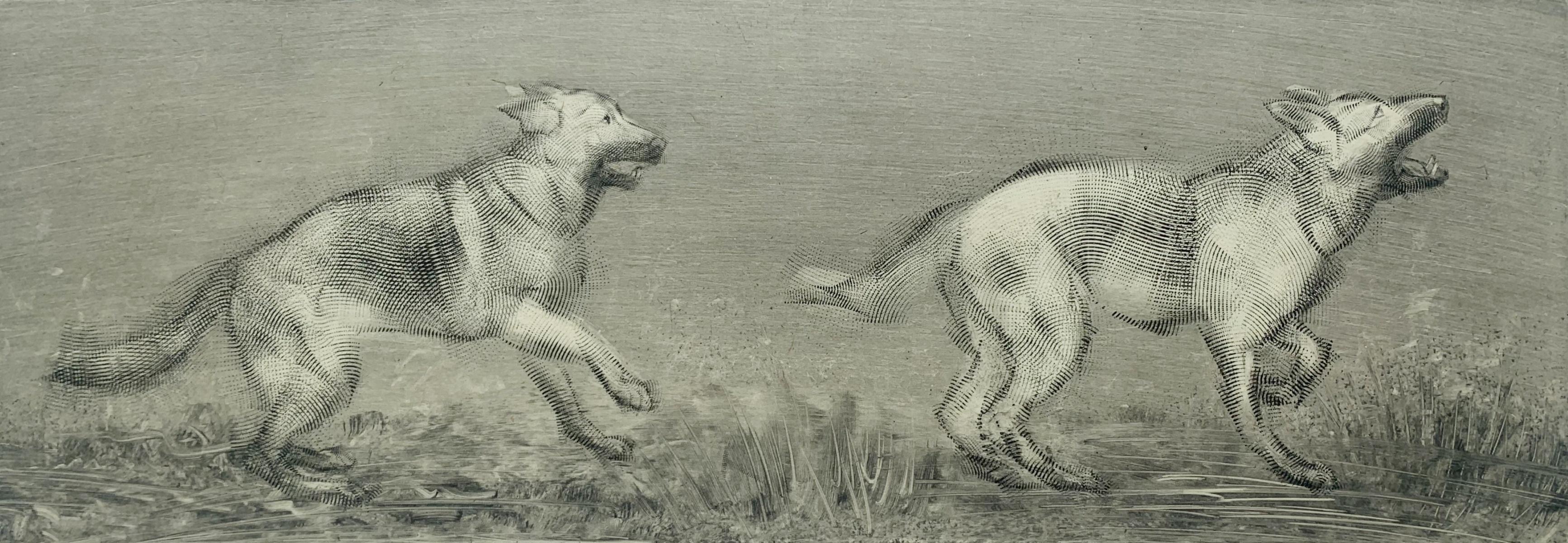 Tofcia II y Tofcia III. Grabado figurativo contemporáneo, Animales, Perros