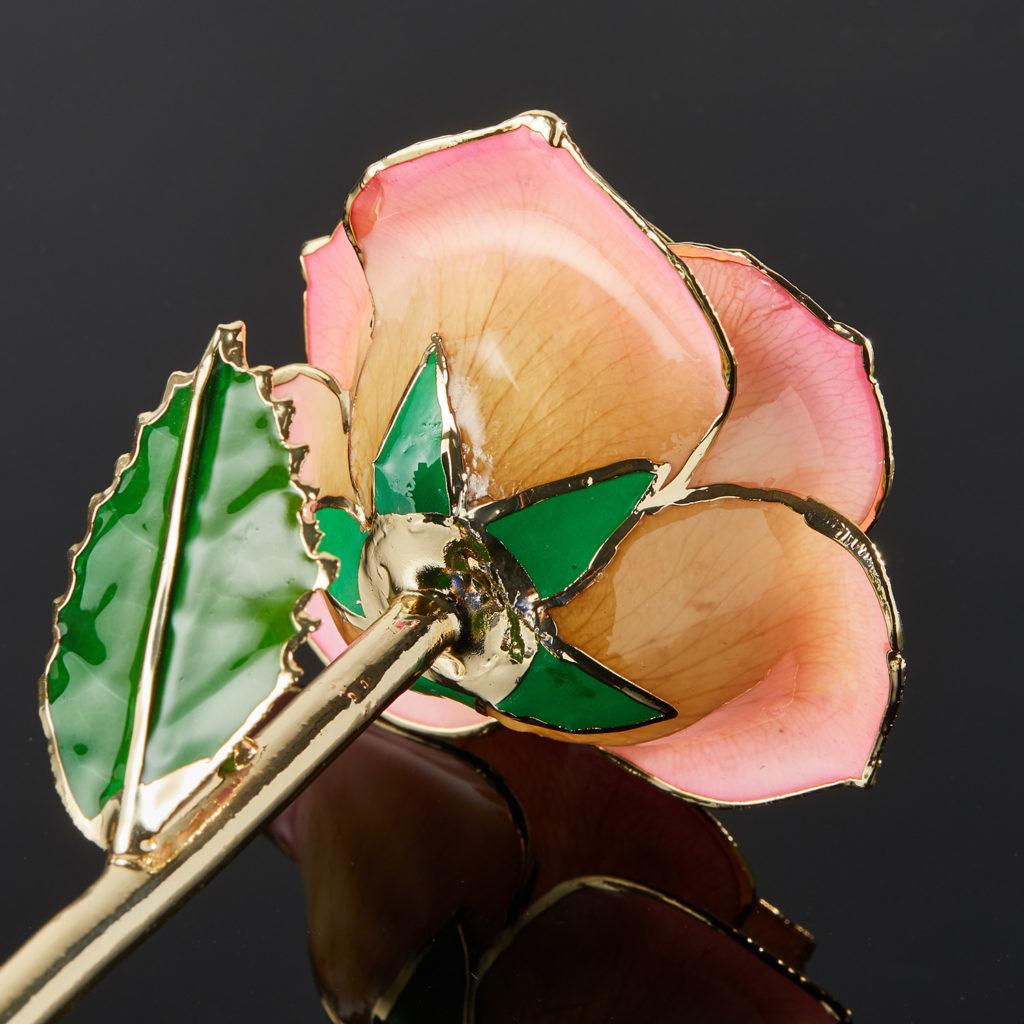 Modern Peaches and Cream, Glossy Lacquer Real Rose in 24k Gold with LED Display For Sale
