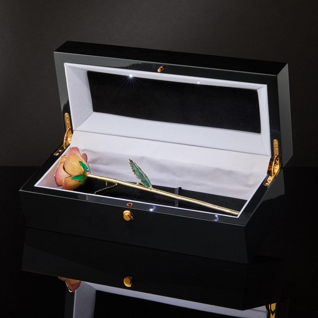 Peaches and Cream, Glossy Lacquer Real Rose in 24k Gold with LED Display For Sale 2
