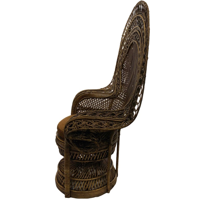“Peacock” 1970's Vintage Chair For Sale at 1stDibs