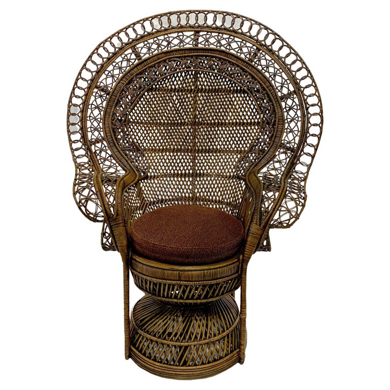 “Peacock” 1970's Vintage Chair For Sale at 1stDibs