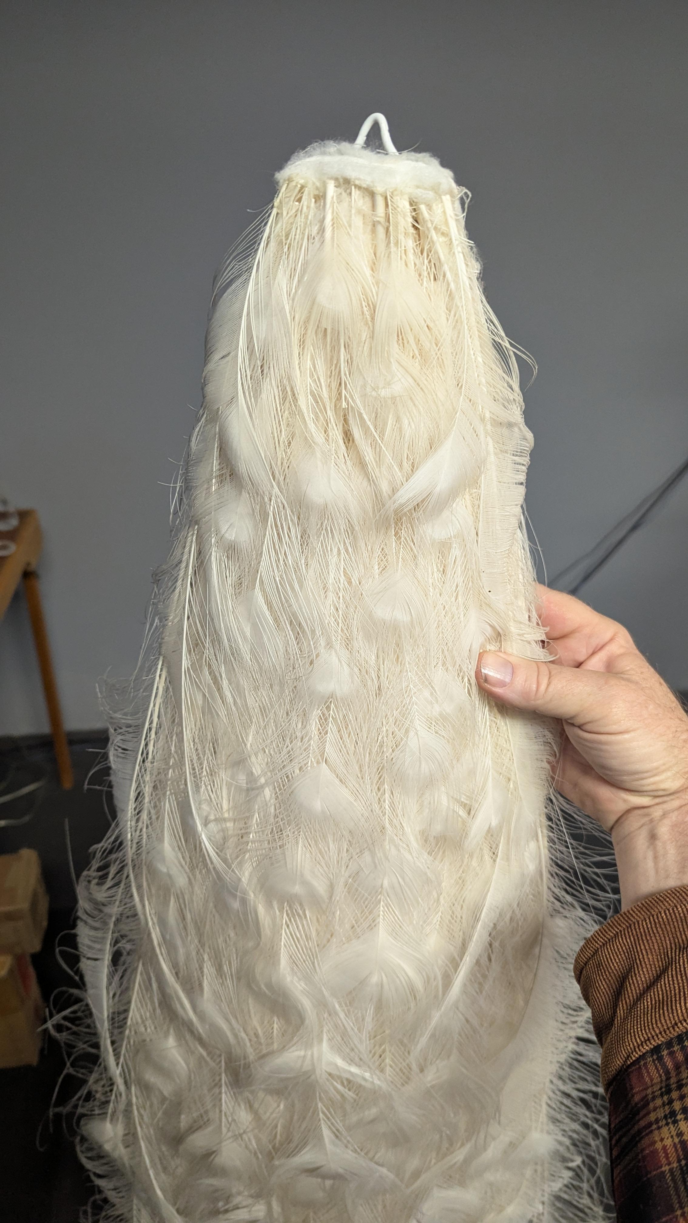 Pavone Albino bianco in vendita 9