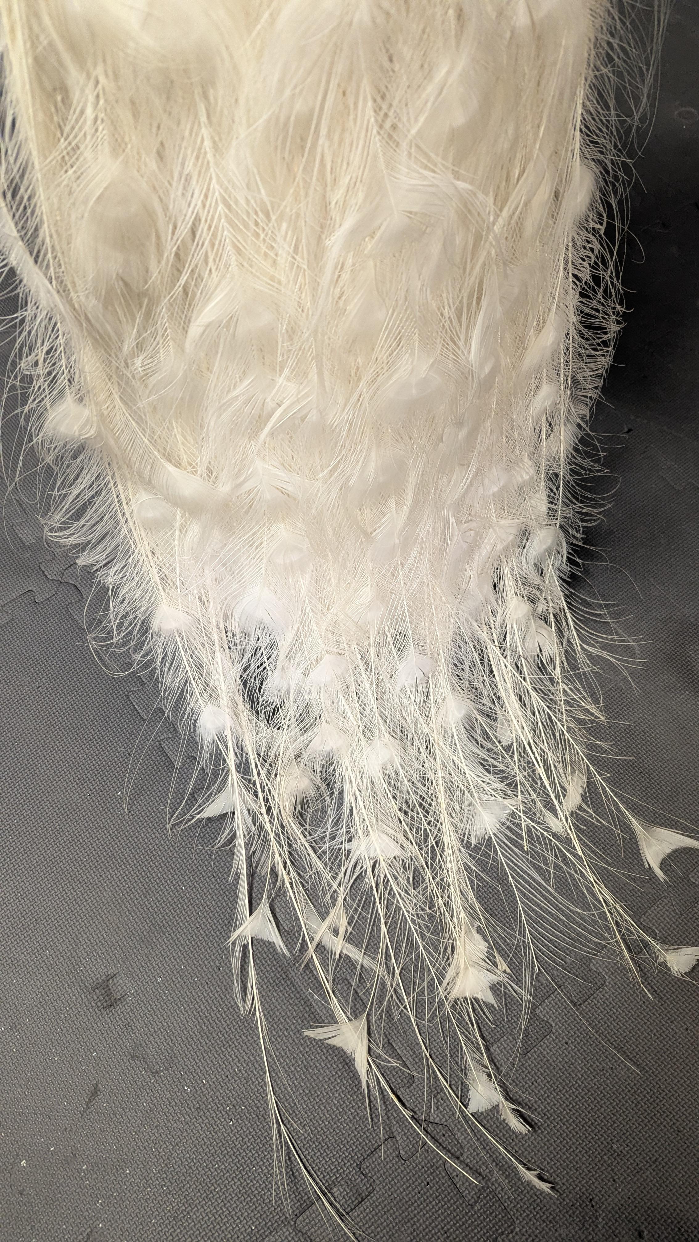 Piume Pavone Albino bianco in vendita