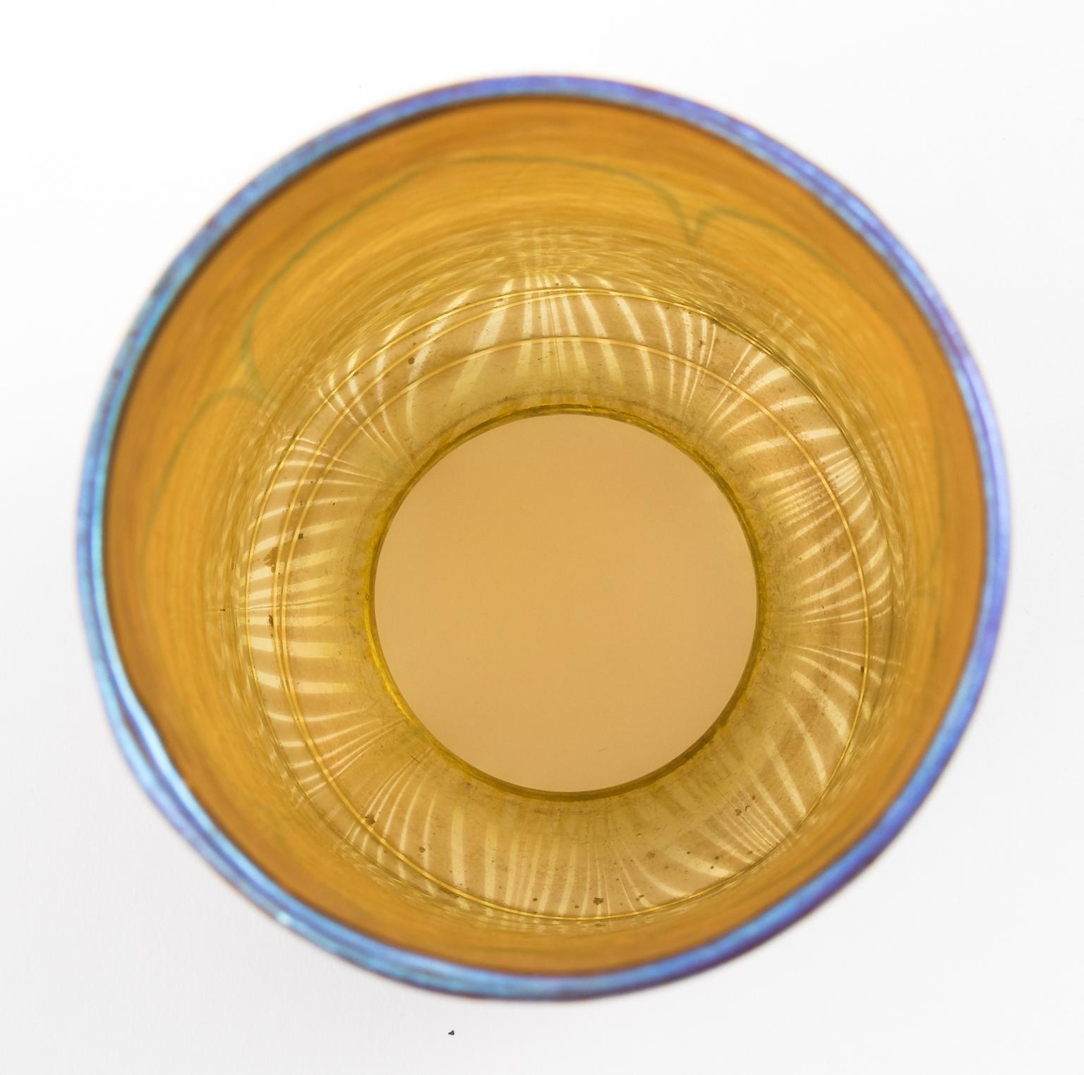 Lampenschirm mit Pfauenmotiv aus Glas von A. Durand im Angebot 3