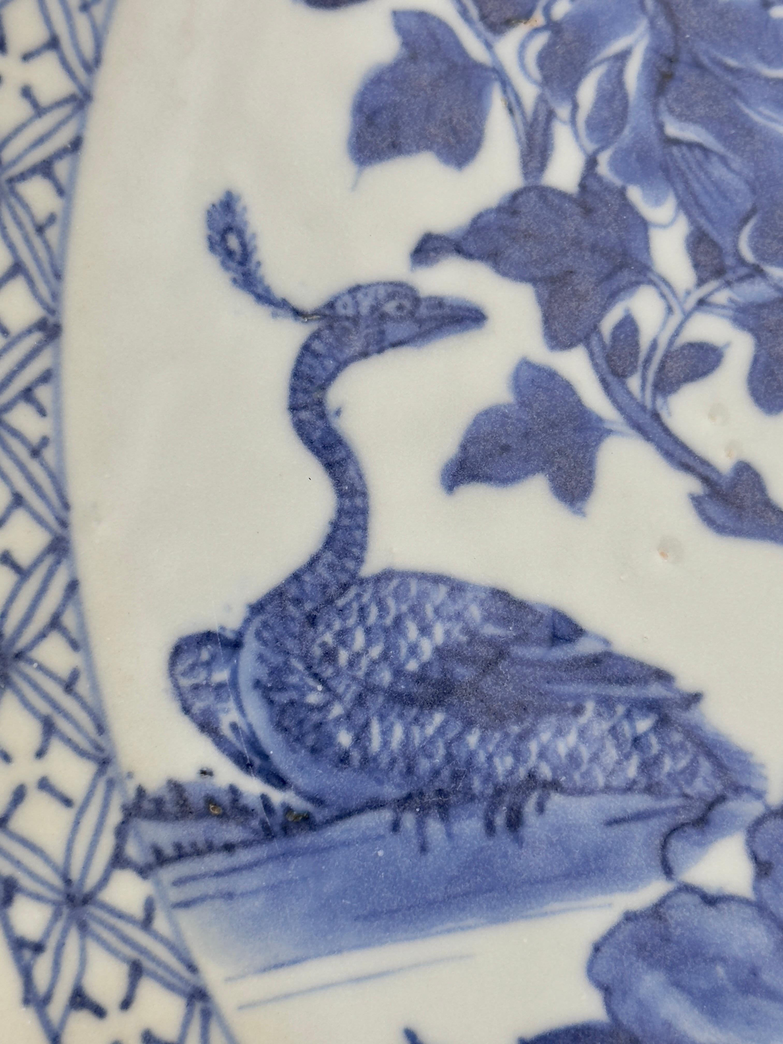 Pfau in Pracht