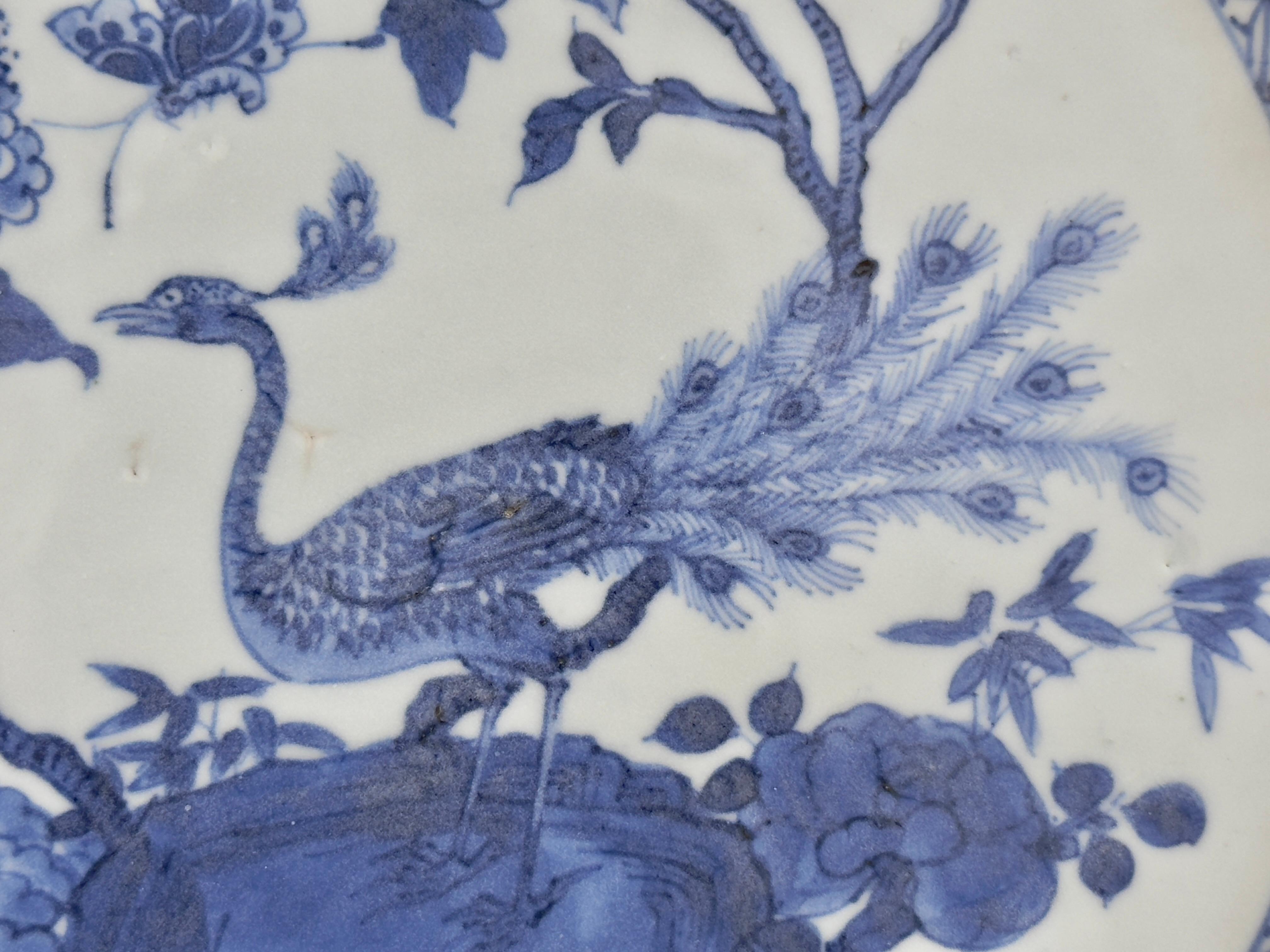 Pfau in Pracht