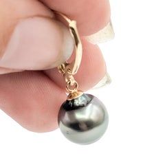 Peacock Tahitian Pearl Drop Earrings in 14k Yellow Gold