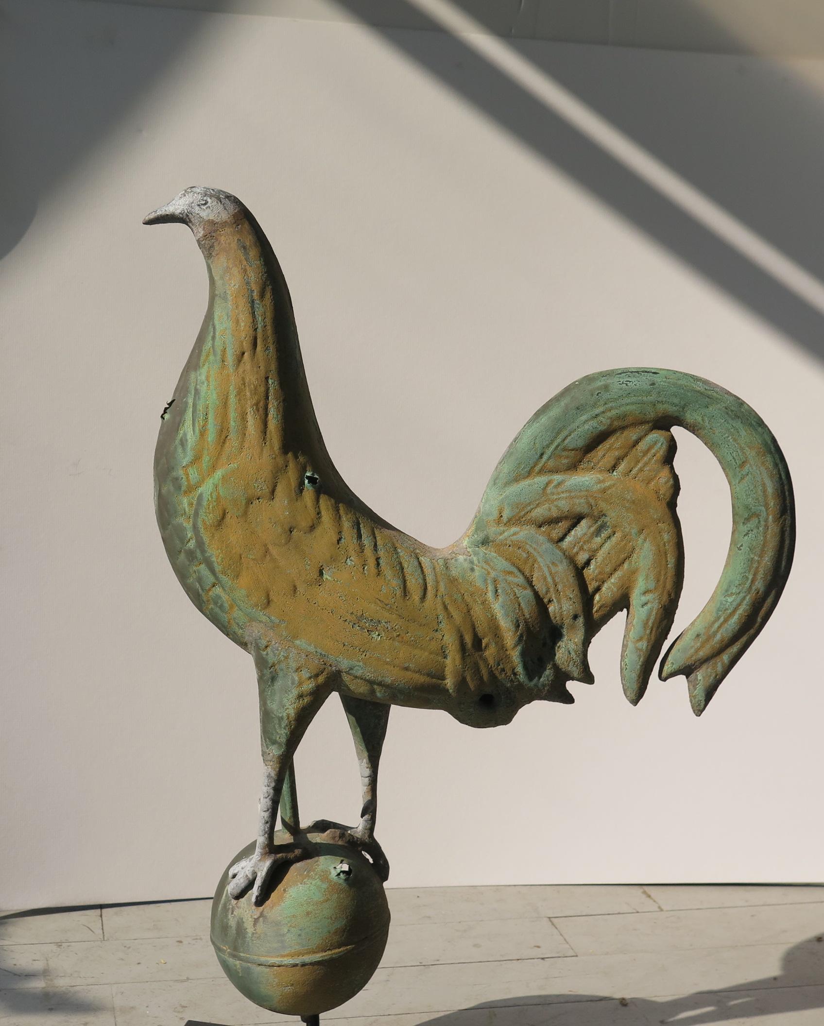 Peafowl weathervane of copper with zinc head on copper ball. Exceptional untouched surface with mustard paint.
There are a few bullet holes when it was made to spin on rooftop but this chicken is a survivor. Metal base and wall bracket included.