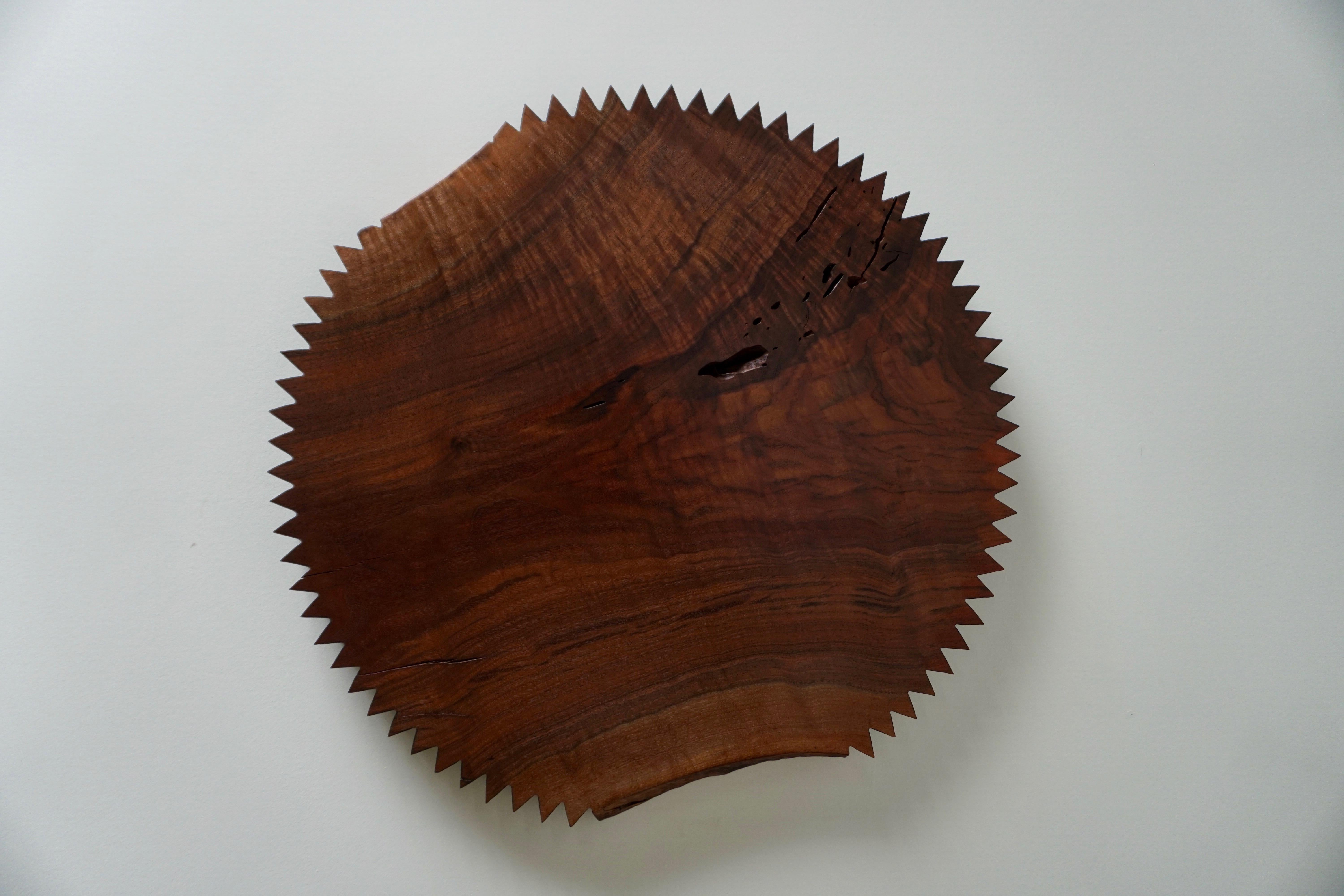 Contemporary Peanut Butter Cup Series in a mix of Bastogne, Claro, English and Black Walnut For Sale
