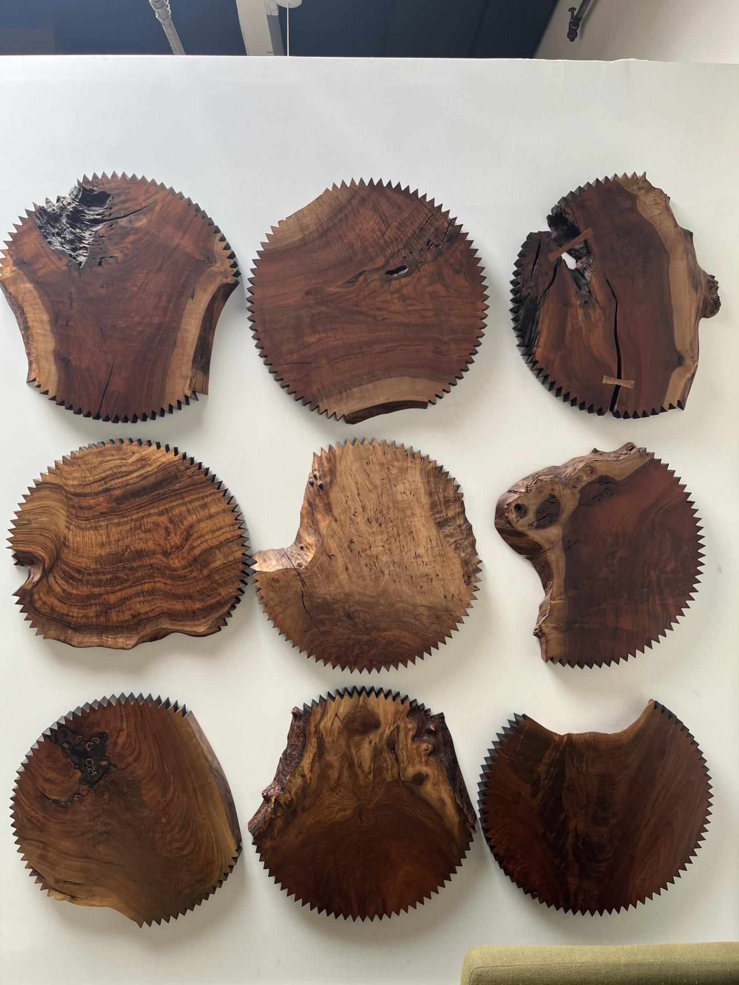 Peanut Butter Cup Series in a mix of Bastogne, Claro, English and Black Walnut For Sale 1