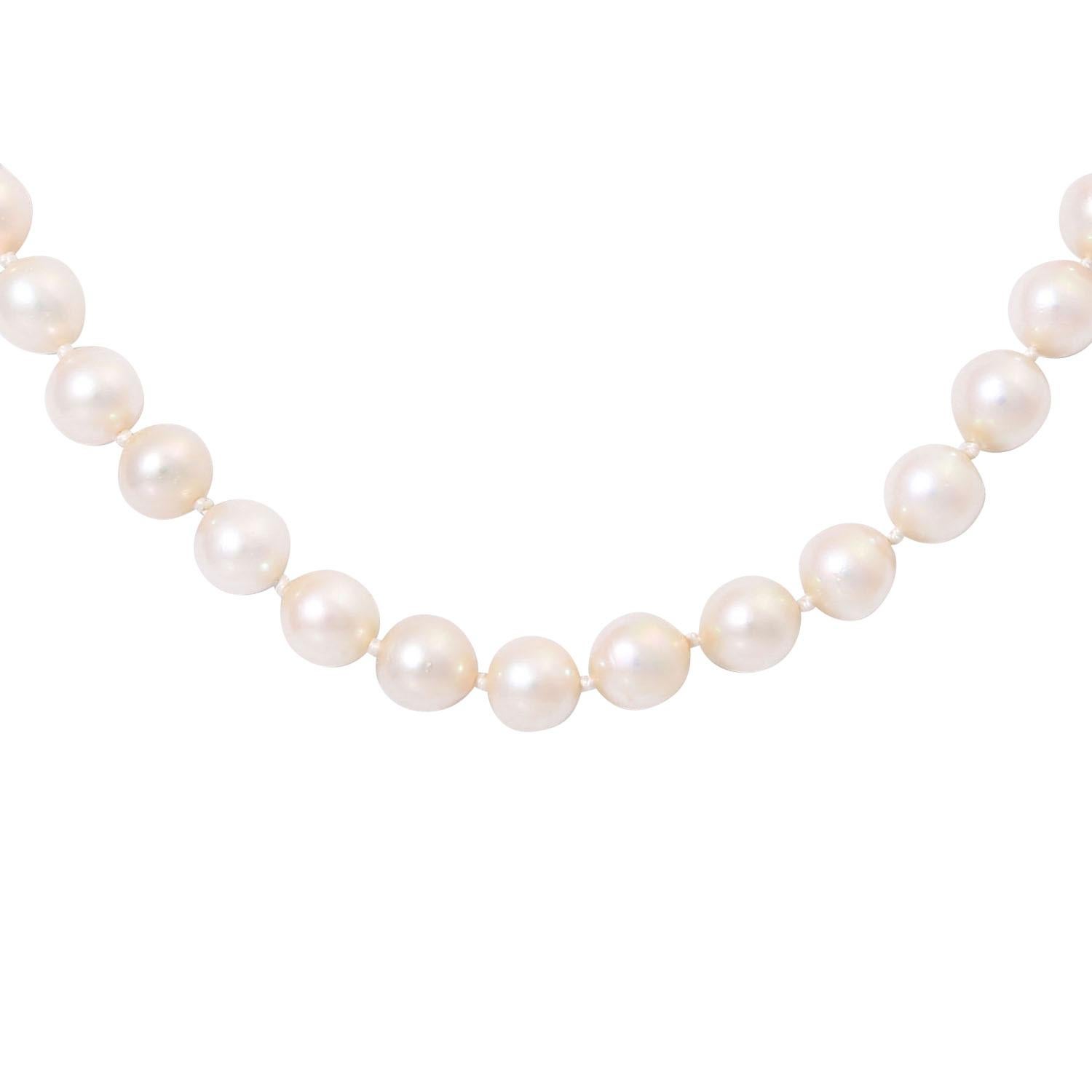From 60 fine breeding pearls 7-7.4 mm, cream-colored with a beautiful luster, bajonet ends, L: 50 cm, knotted, without closure, 20./21. Century, good preservation.

 Necklace Made of 60 Fine Cultured Pearls 7-7.4 mm, Creme Colored, Beautiful Lustre,