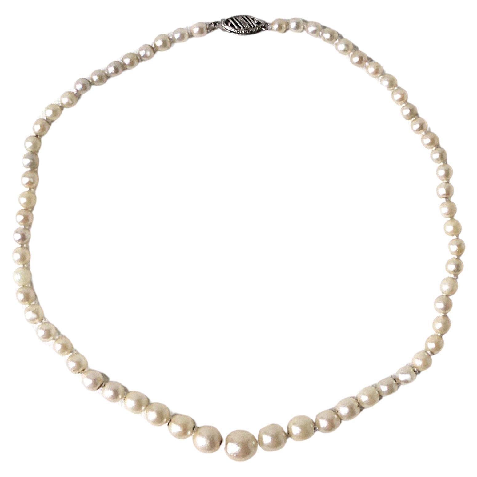 Pearl Choker Necklace