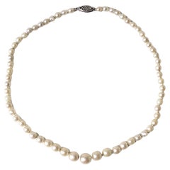 Pearl Choker Necklace