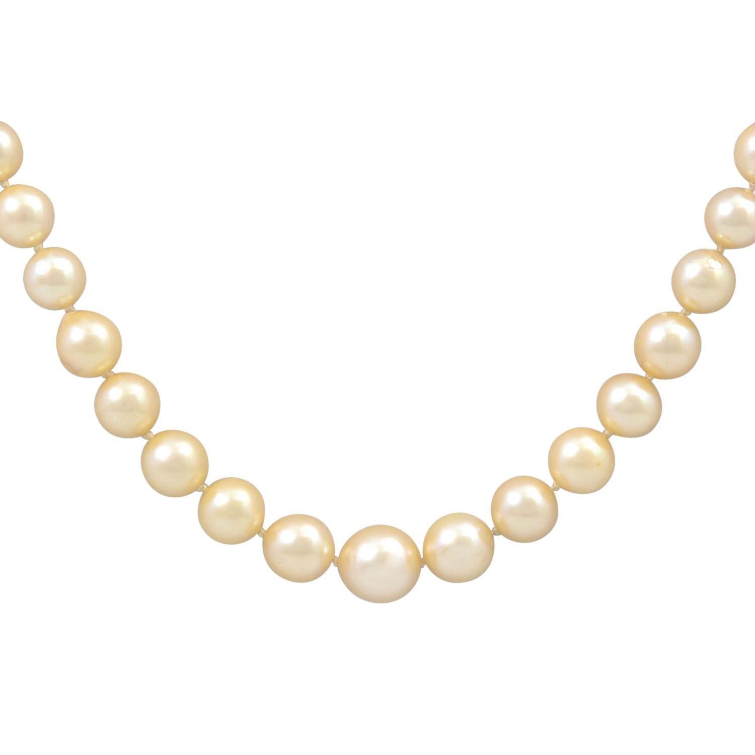 made of Akoya cultured pearls ranging in size from 5.4 to 8.6 mm, L: 54 cm, 18K gold clasp with 3 cultured pearls and safety chain, mid 20th century, slight signs of wear. (18)

 Necklace made of Akoya cultured pearls graduating from 5.4 to 8.6 mm,
