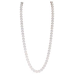 Used Pearl Necklace