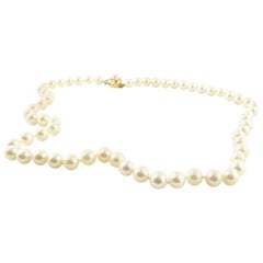 Pearl Necklace with 14 Karat Yellow Gold Closure