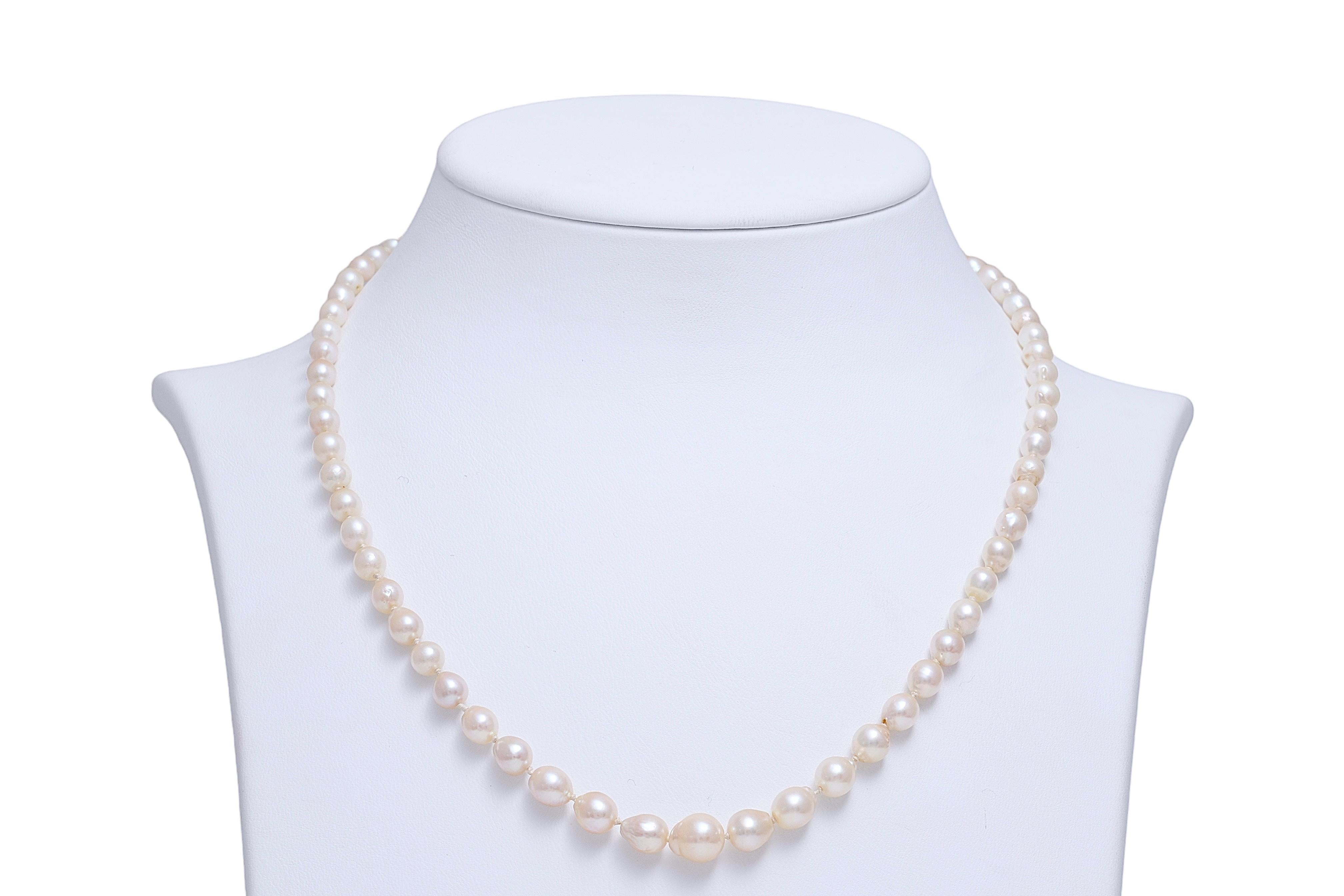 Stunning and Classical Pearl Necklace with Akoya Pearls and Platinum With Diamond Locker

Pearls: 70 Akoya pearls, Pearls diameter are all in between biggest 7.3 mm and smallest pearl 4 mm

Diamonds: Old European cut and 8cut diamonds, together 0.38