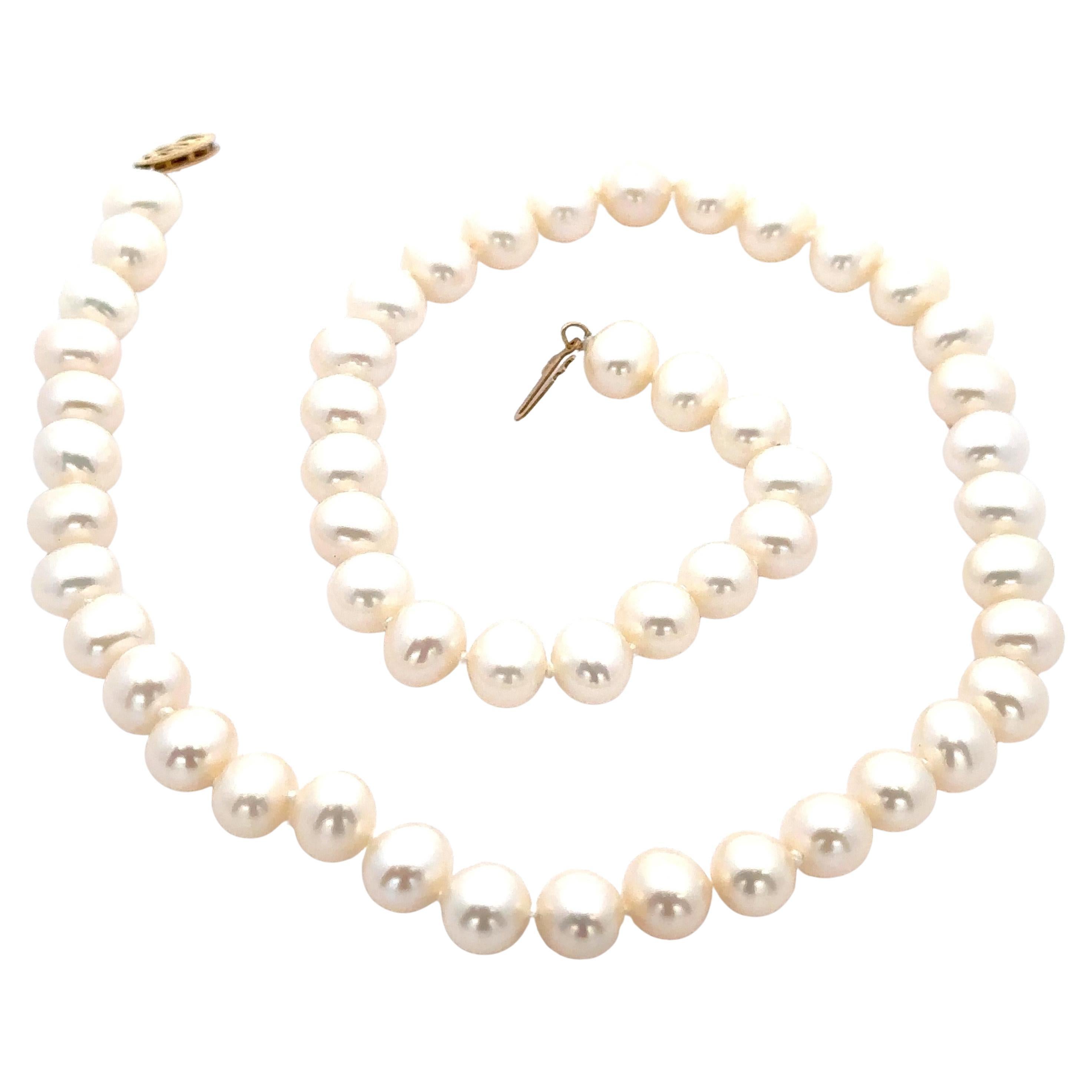 Pearl Strand 16" 7.8-8.1mm Necklace w/ 14k Yellow Gold Filigree Hook Clasp