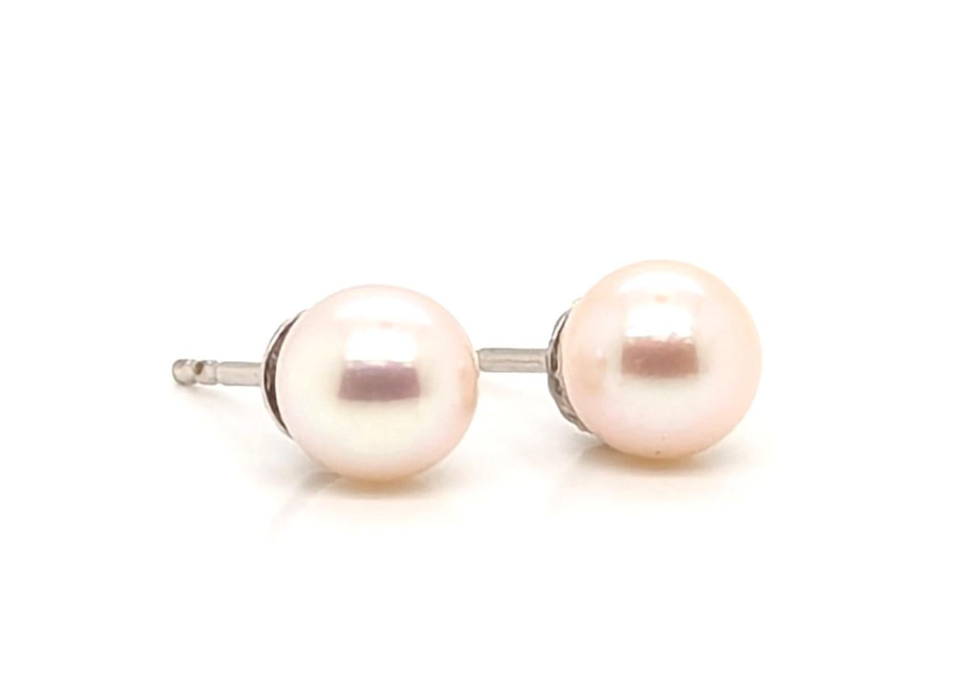 Pearl Stud Earrings 7mm 14K White Gold



Stud Earrings

Perfect for a Special Occasion or Just a Gift to Say 'I Love You'

Elegant and Classy 

100% Natural Pearls

14K White Gold

Excellent Condition

***800***322***8700 Customer Care

Your New