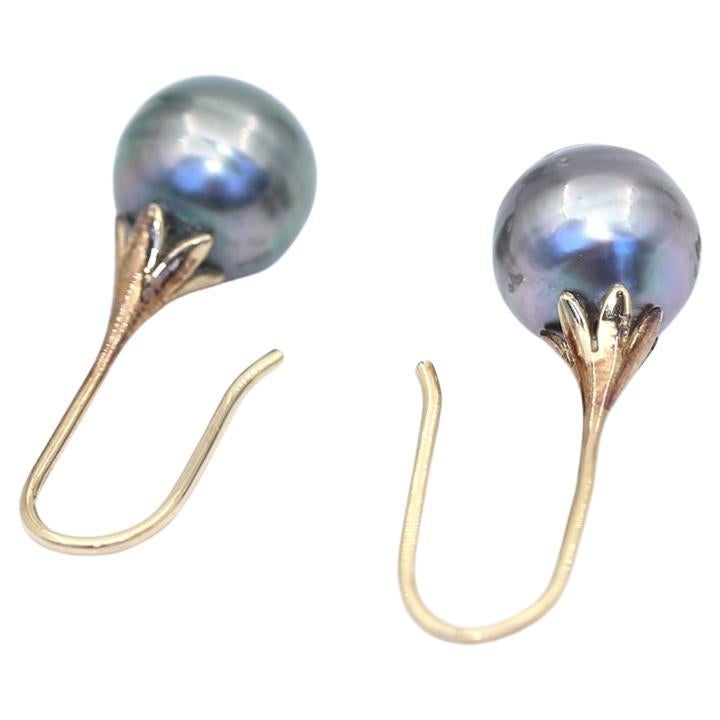 Perlen-Ohrringe Gelbgold, 1970. Fine Pearls Earrings sind ein echter Klassiker, der sich perfekt für den Alltag eignet.

Die Farbe und der Glanz der Perlen sind wunderbar. Der Kontrast zwischen der grauen Farbe der Perle und dem Gelbgold des