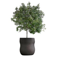 Jardinera Negra Mediana Guijarro by Indigenus