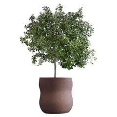 Fioriera Pebble Medium Brown di Indigenus