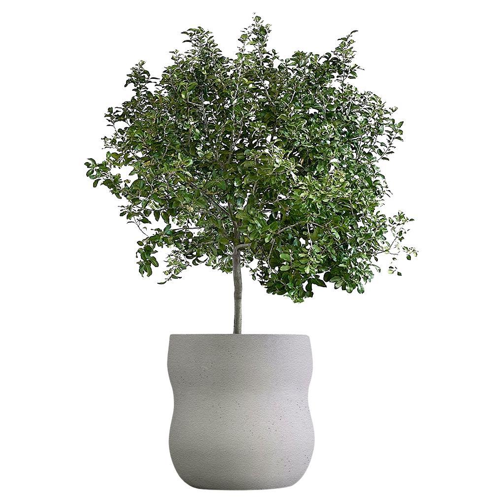 Pebble Medium Grey Planter by Indigenus