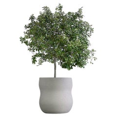 Fioriera Pebble Medium Grey di Indigenus