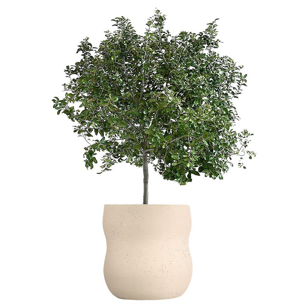 Fioriera Pebble Medium Sandstone di Indigenus