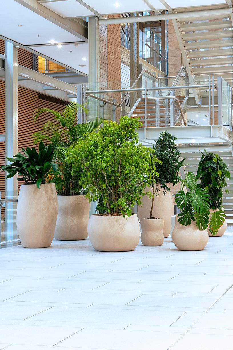 Jardinera Mediana de Terracota Guijarro by Indigenus Sudafricano en venta