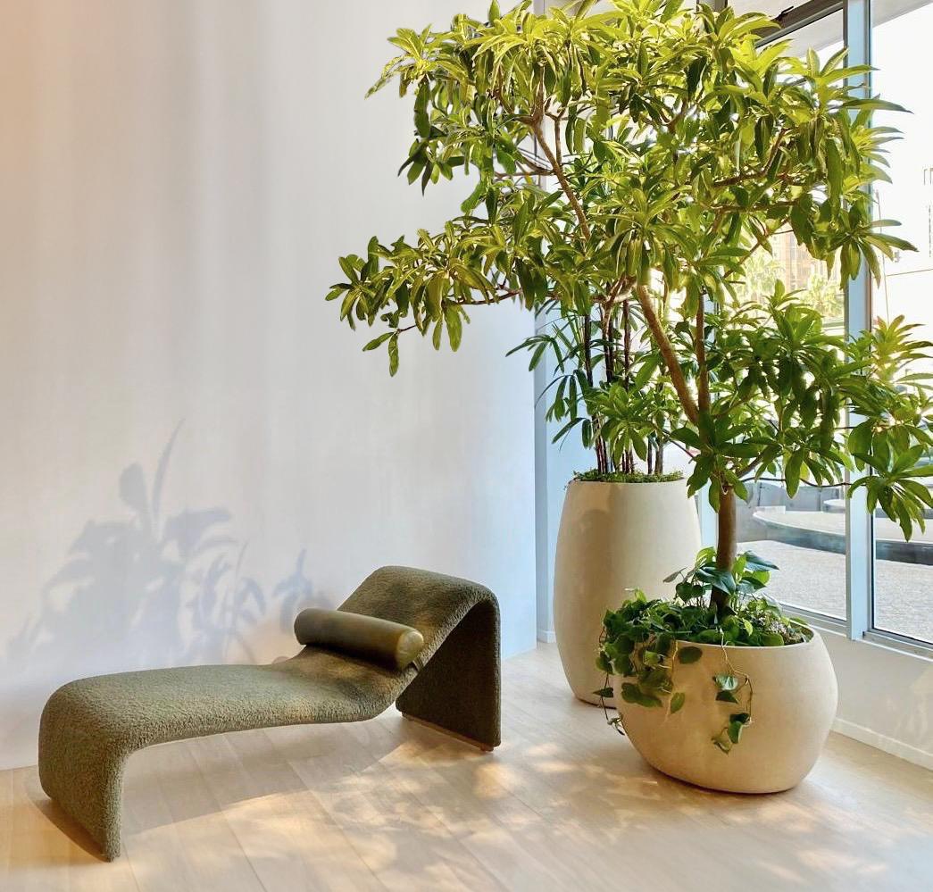 Jardinera Mediana de Terracota Guijarro by Indigenus en Nuevo estado para la venta en Geneve, CH