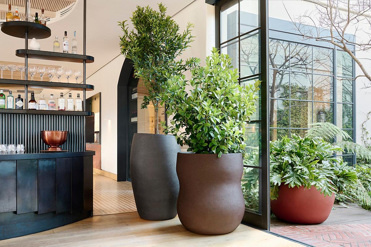 Jardinera Mediana de Terracota Guijarro by Indigenus Siglo XXI y contemporáneo en venta
