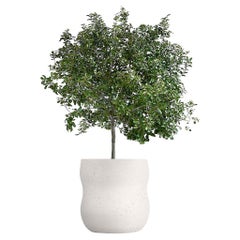 Jardinera Blanca Mediana Guijarro by Indigenus