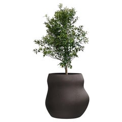 Fioriera Pebble Midi Black di Indigenus